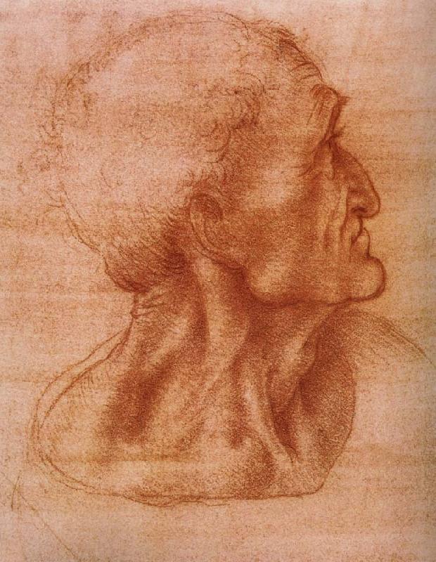 LEONARDO da Vinci Study fur the communion